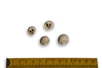 F 12231
<br/>
<br/>
<em></em>